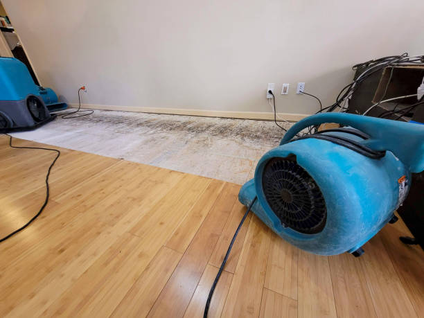 Professional Ceiling Water Damage Repair technician working in Chama, NM
